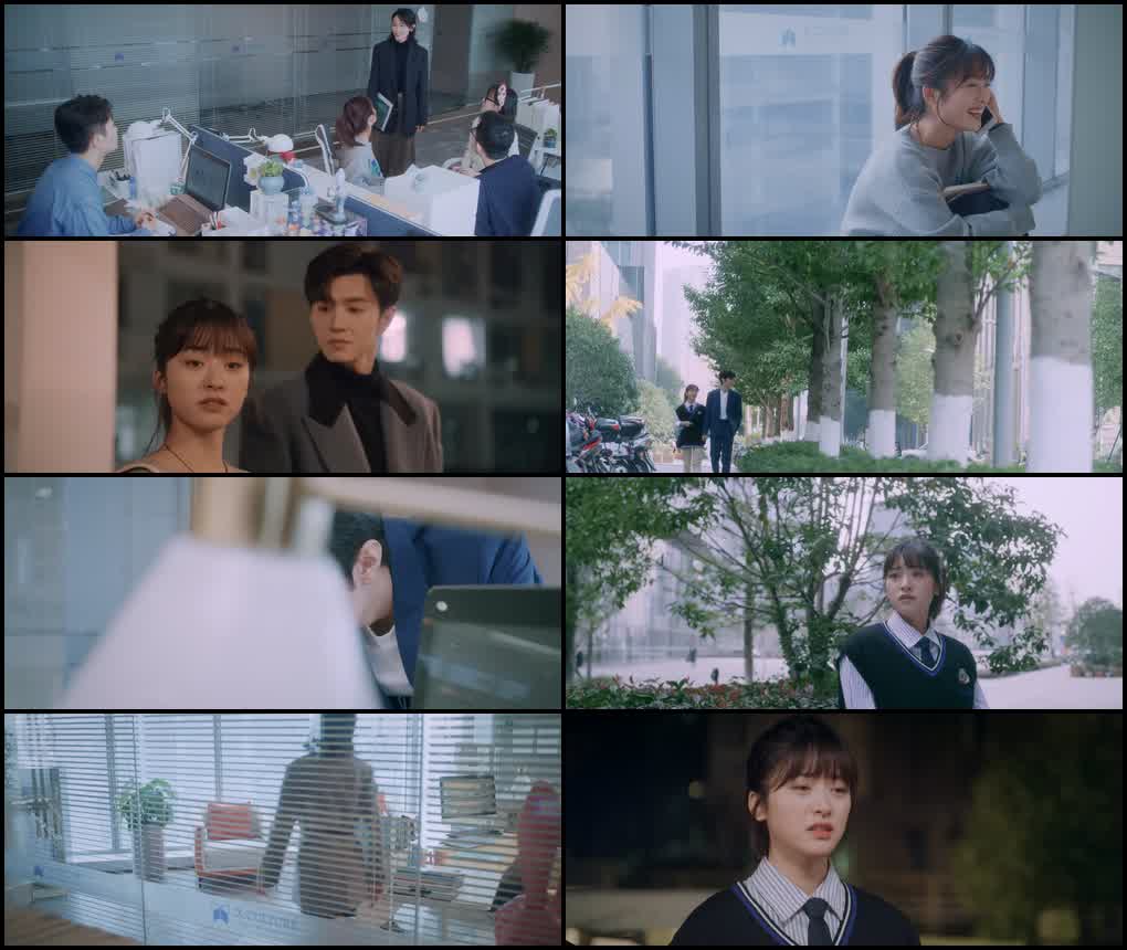 Mr. Bad (2022) Season 1 [Hindi ORG. Dubbed] C-Drama WEB Series 720p | 1080p Screenshot